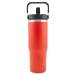30 Oz. Double Wall Tumbler With Handle And Straw - MUG15
