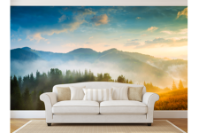Wall Graphic 